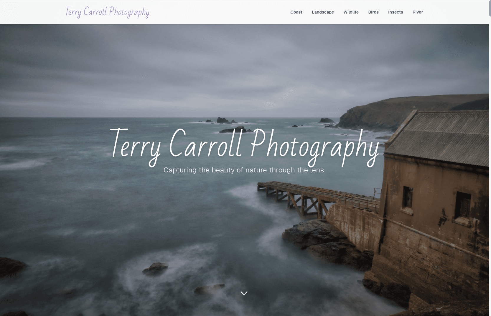 TC Photography - professional photographer Bristol UK